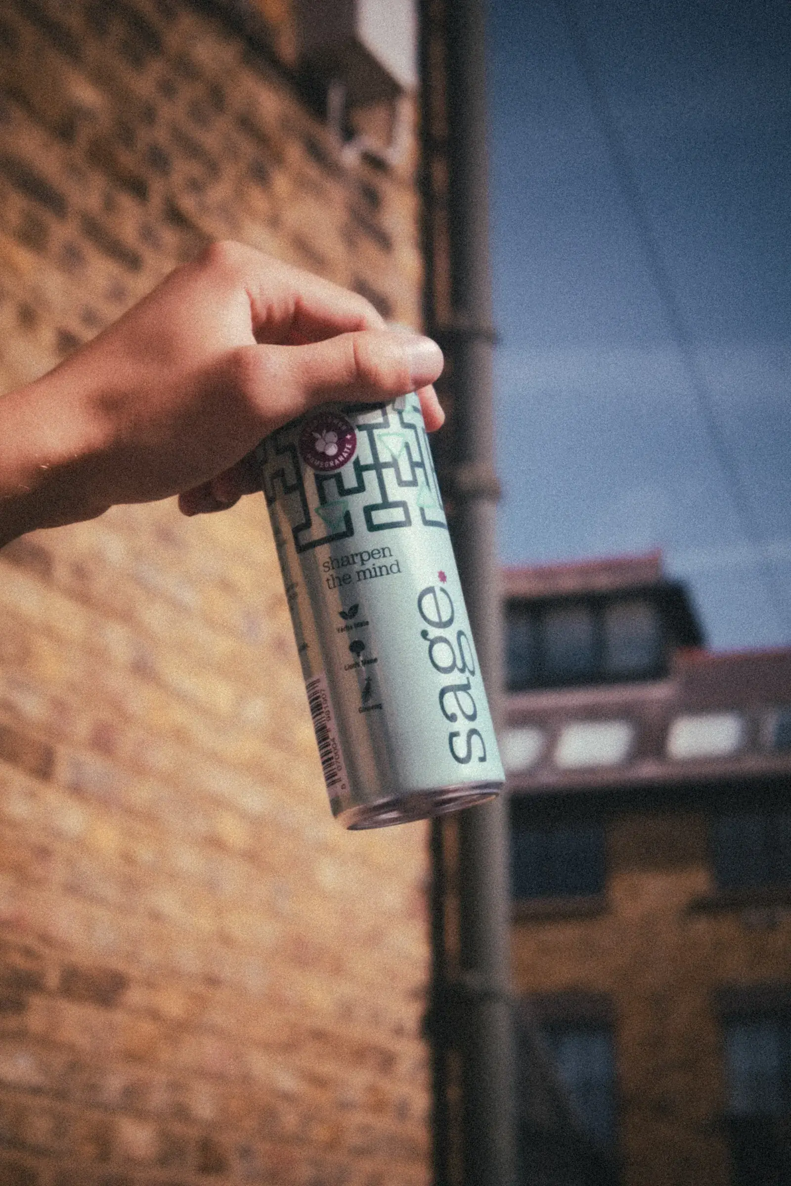 A hand holding a can of sage against a brick wall and blue sky